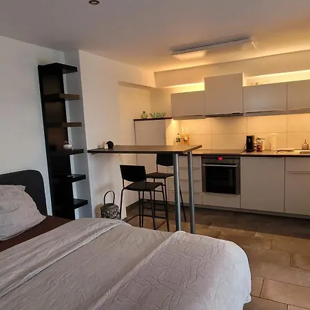 Διαμέρισμα Studio / Ferienwohnung Bamlach Bad Bellingen